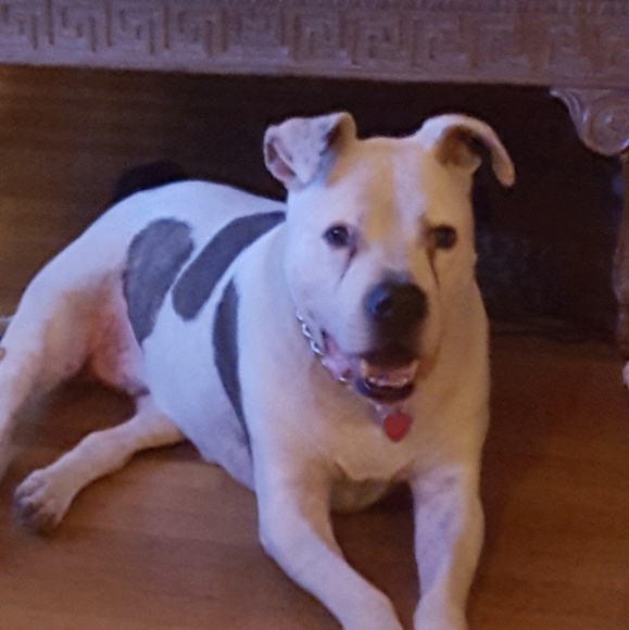 Meet your Posher, Laura - Picture 2 of 2